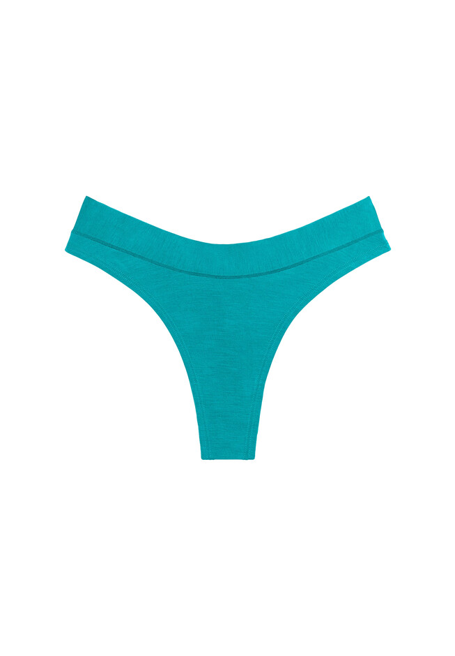 Teal Brief Panties For Women // Seamless Underwear // EBY™